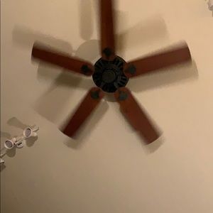 Meet your Posher, Savannah